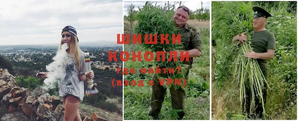 амф Алапаевск