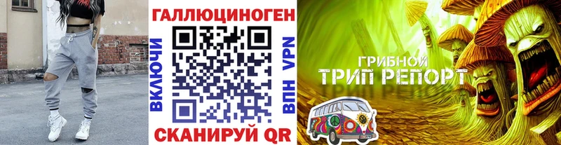 Галлюциногенные грибы Psilocybe  Купить закладки  Ивдель 