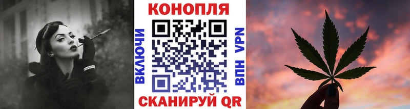 Купить закладки  Ивдель  Канабис сатива 